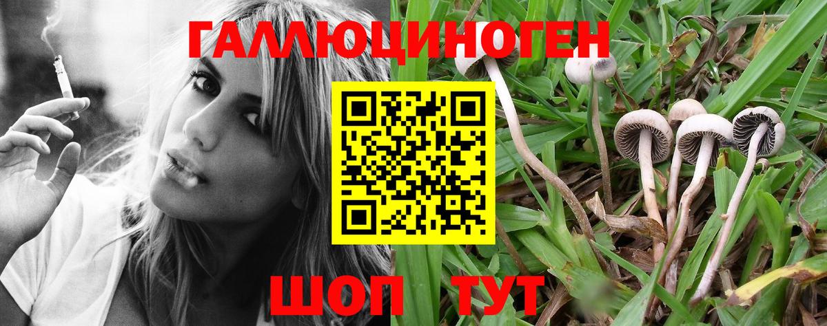 Дальнереченск  Галлюциногенные грибы Psilocybe  Вход с VPN  Галлюциногенные грибы Magic Shrooms 